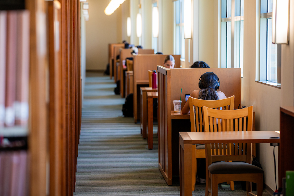 Students learning about AI